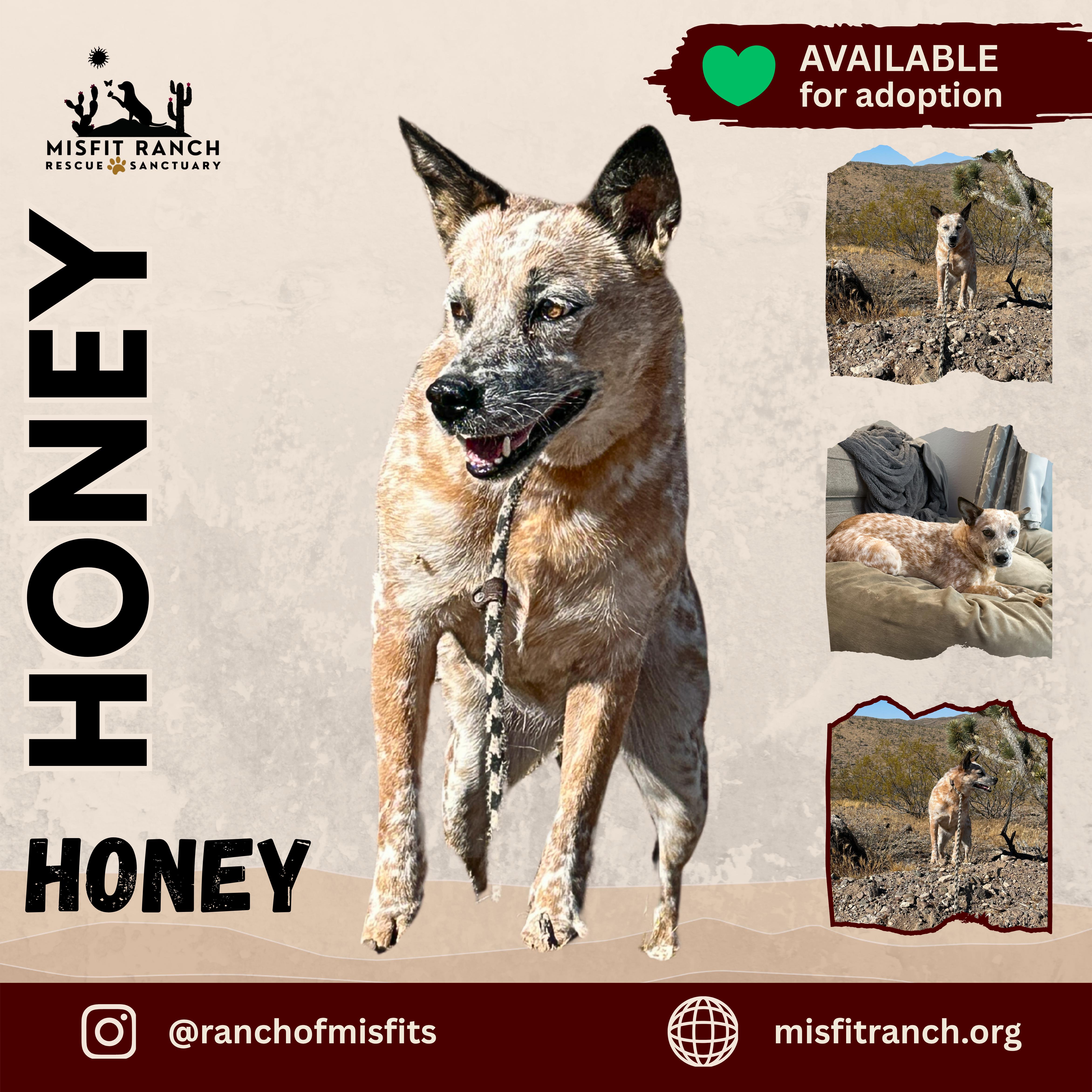 Honey