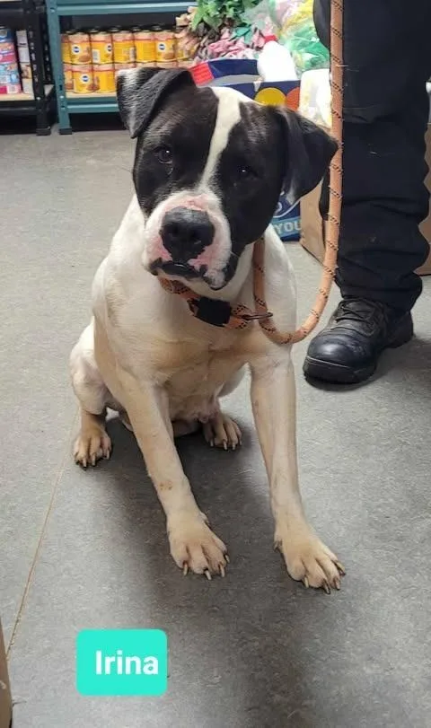 Irinasponsored thumbnail 3