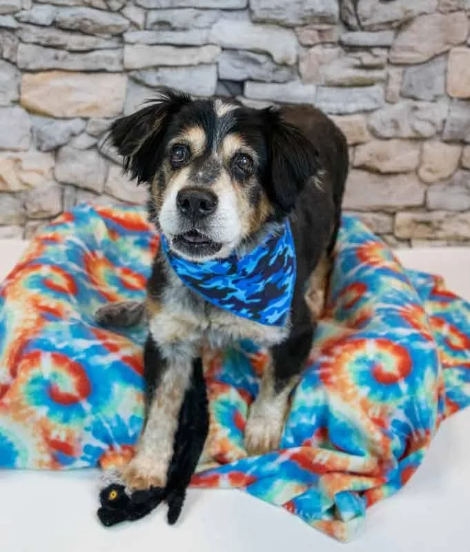 Werthers thumbnail 3