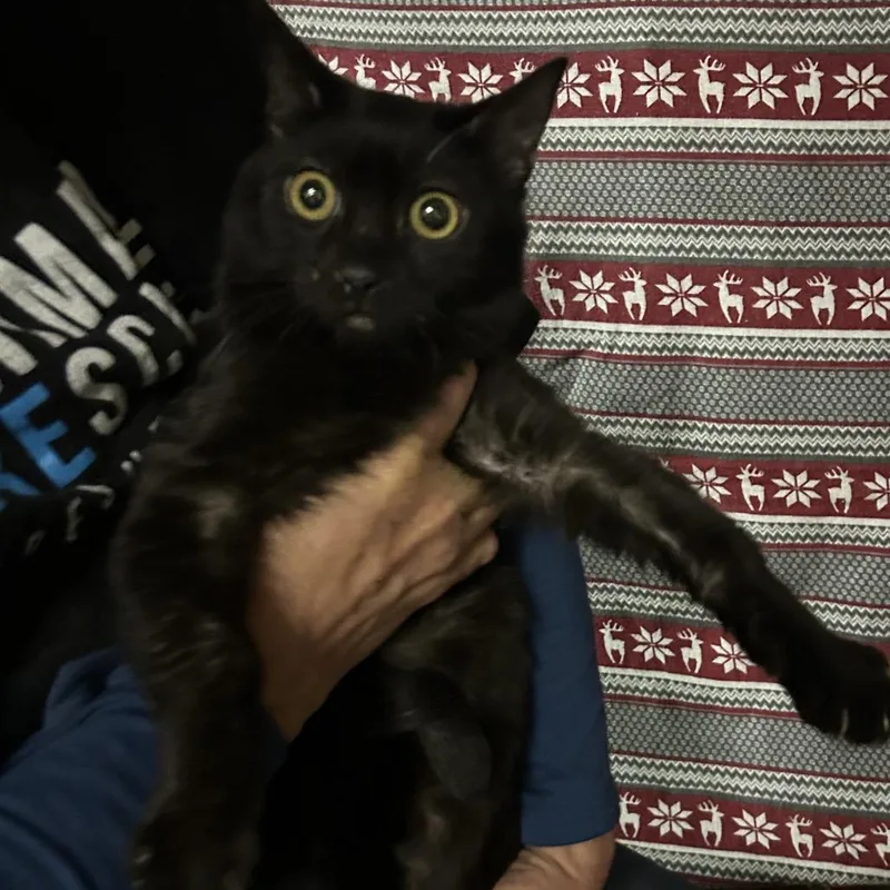 New Mexico thumbnail 3