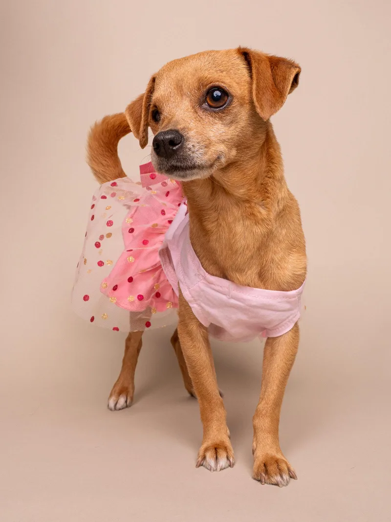 Chiquita thumbnail 2