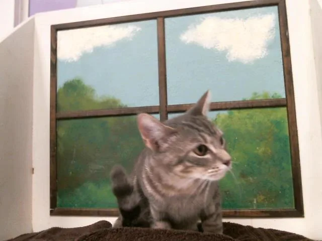 Luna