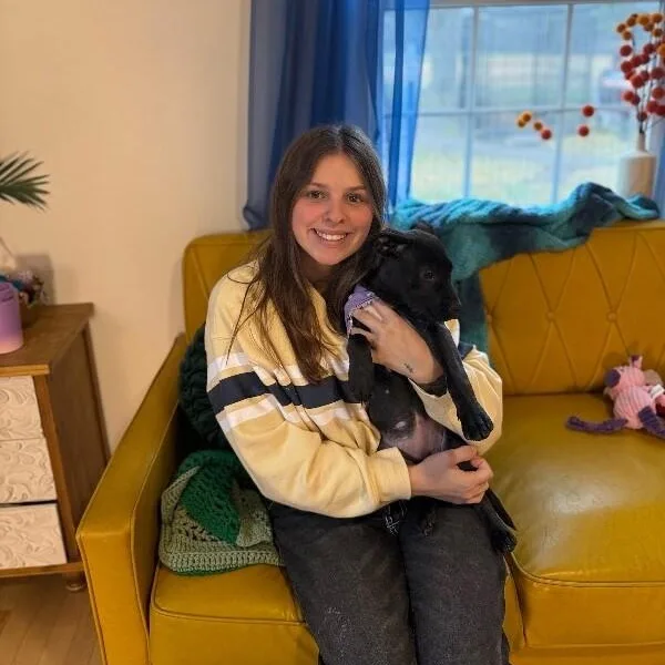 A baby medium-sized female Black Pit Bull Terrier dog named Alaska State for adoption in Friendswood, TX