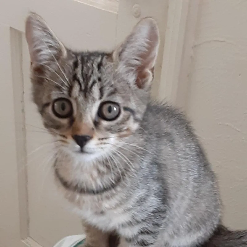 Eleanor