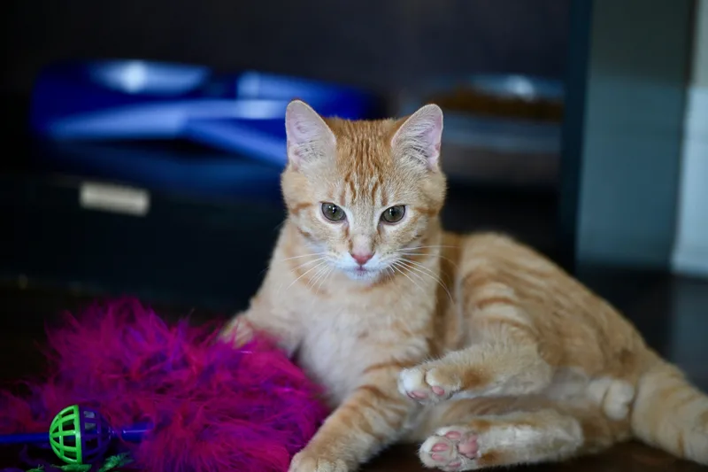 Potter & Weasley! thumbnail 2