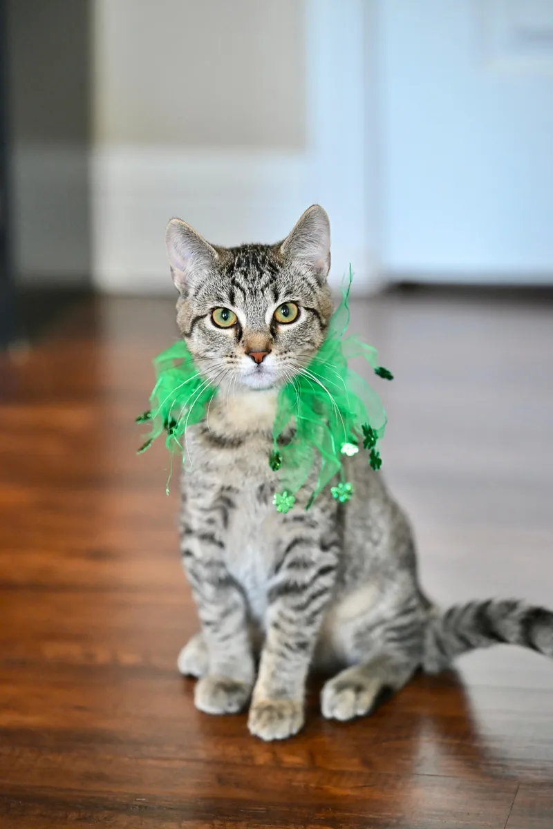 Potter & Weasley! thumbnail 3