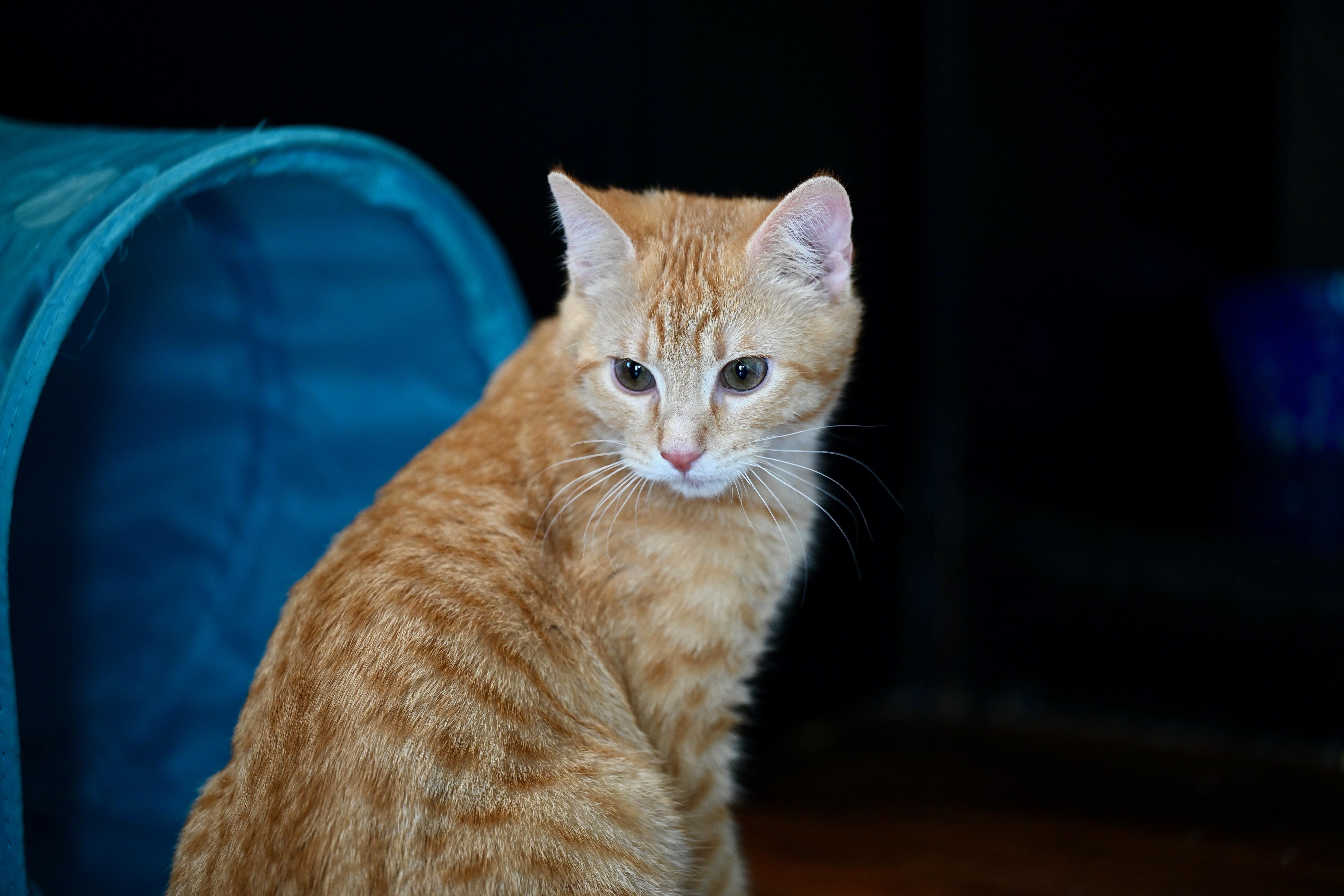 Potter & Weasley! thumbnail 4