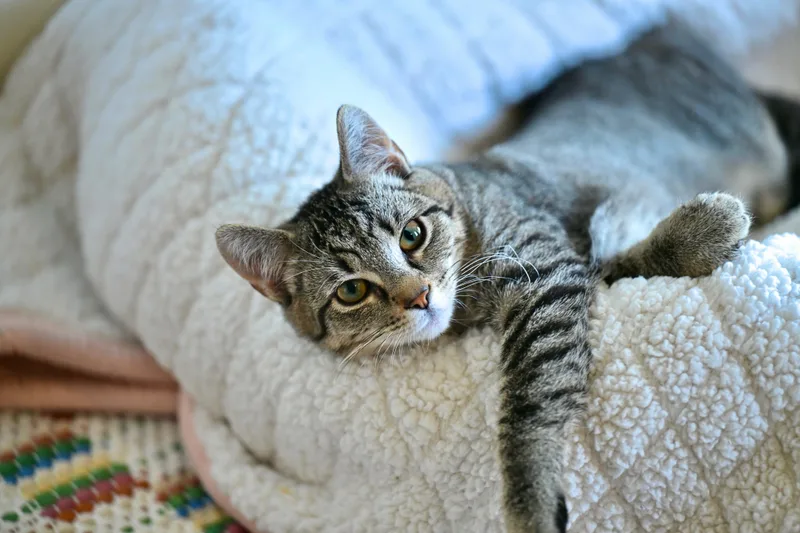 Potter & Weasley! thumbnail 5