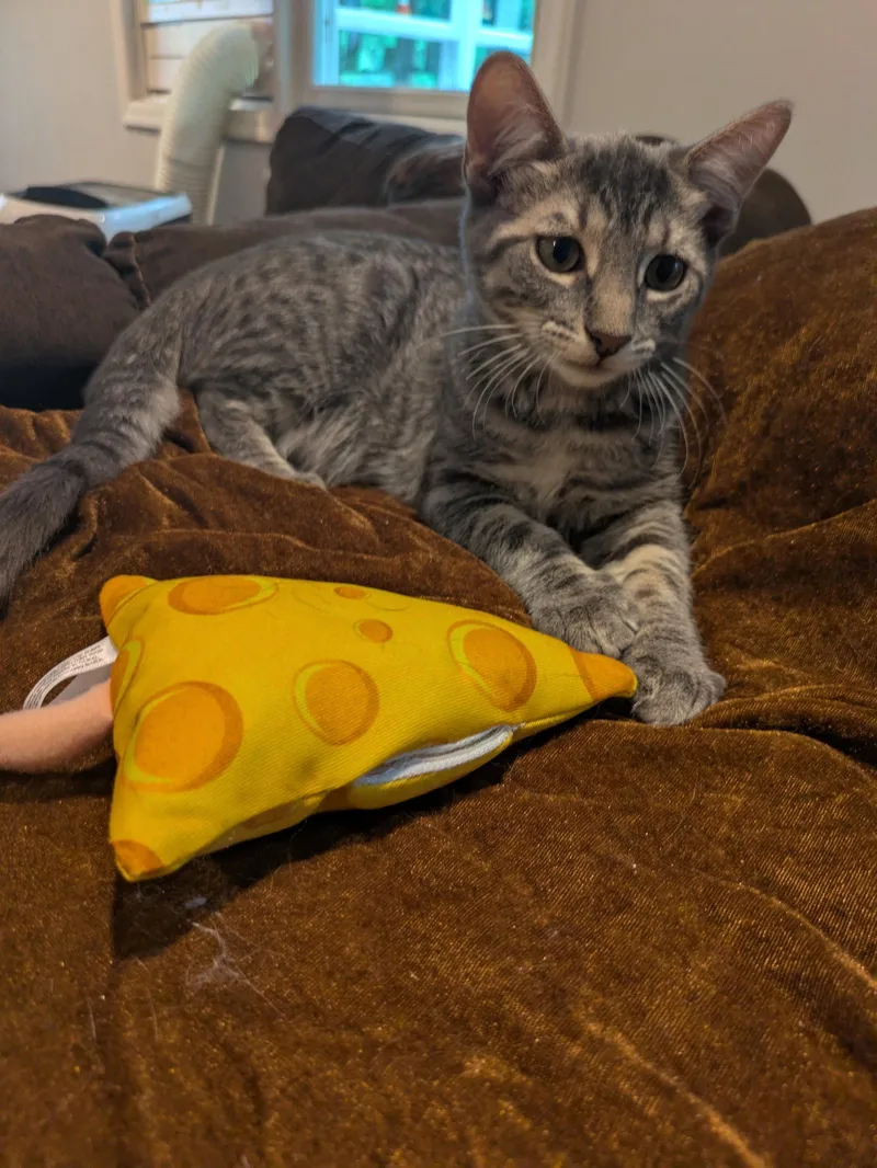 Derpy thumbnail 3