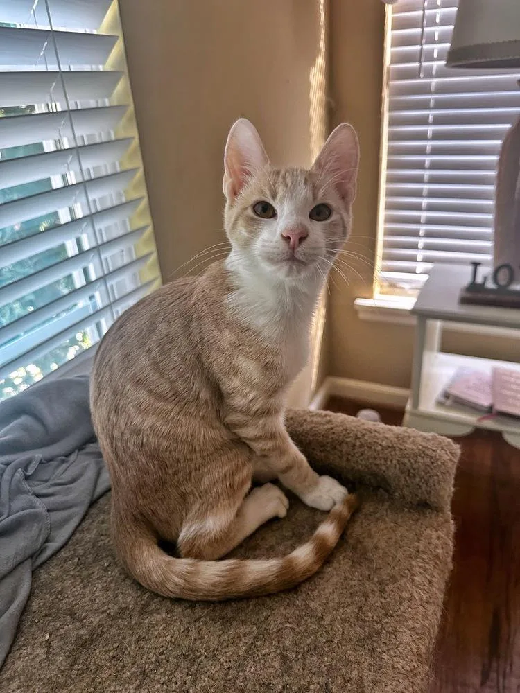 Benny Bobbinsky I thumbnail 2