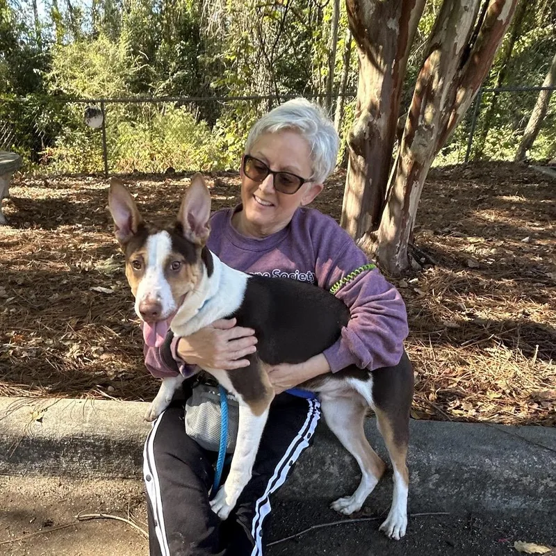 Peanut Butter Crunch thumbnail 6