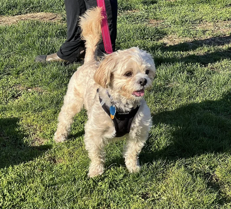 Archie