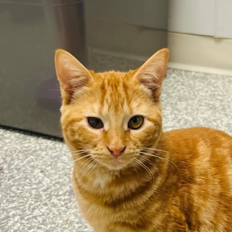 Carina Smyth thumbnail 6