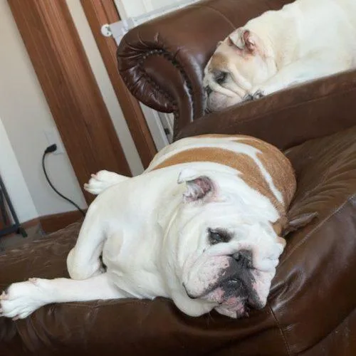 Maggie thumbnail 2