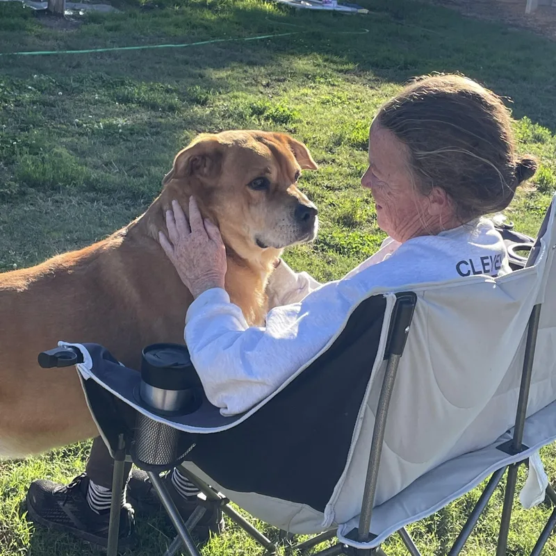 Justice & Blessing  thumbnail 4