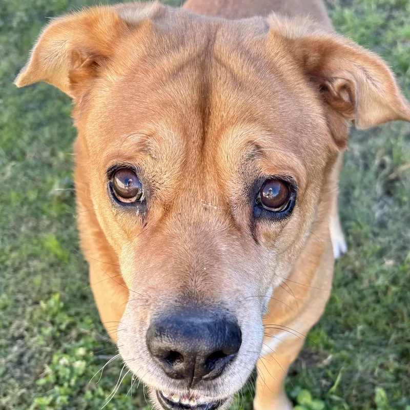 Justice & Blessing  thumbnail 6