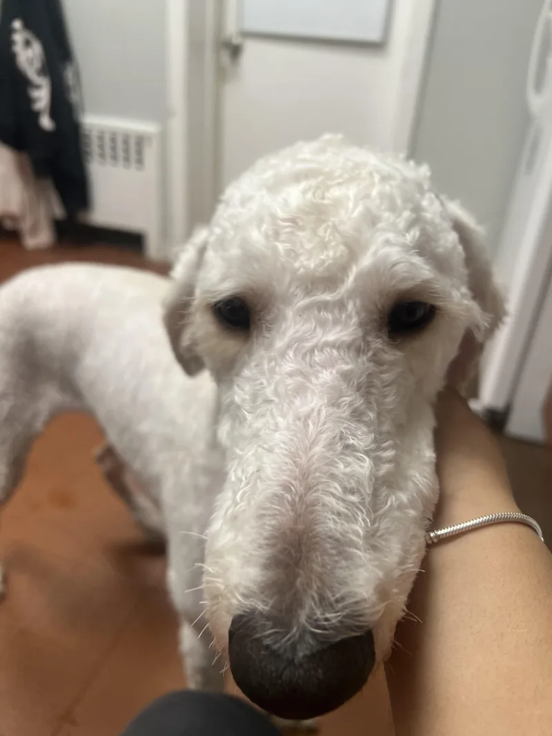 Charlie Daniels thumbnail 2