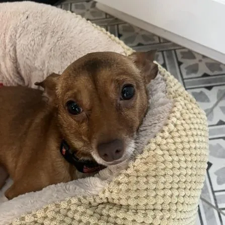 Esther thumbnail 3