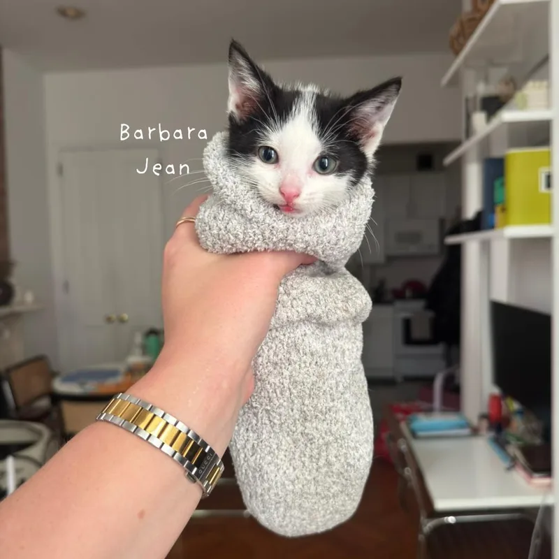 Barbara Jean thumbnail 2