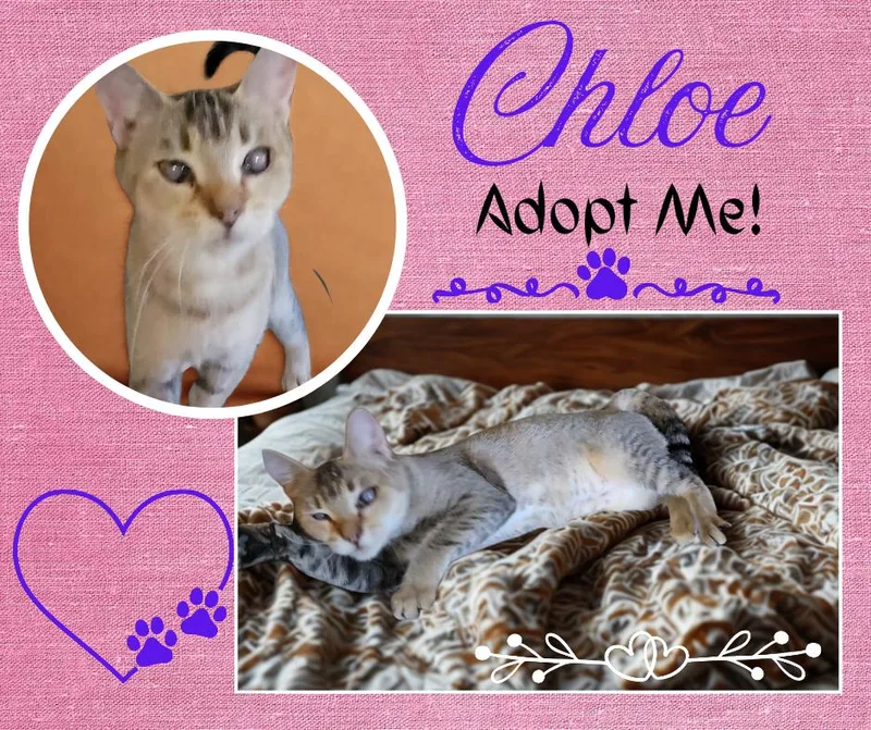 Chloe