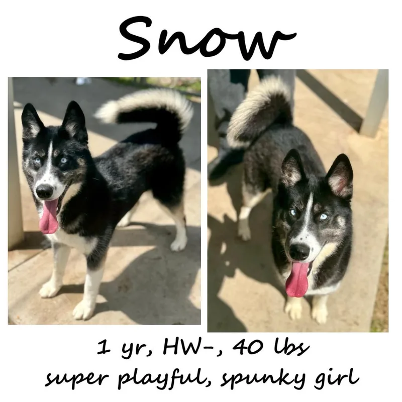 Snow thumbnail 5