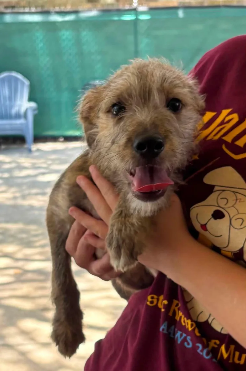 Murray thumbnail 2
