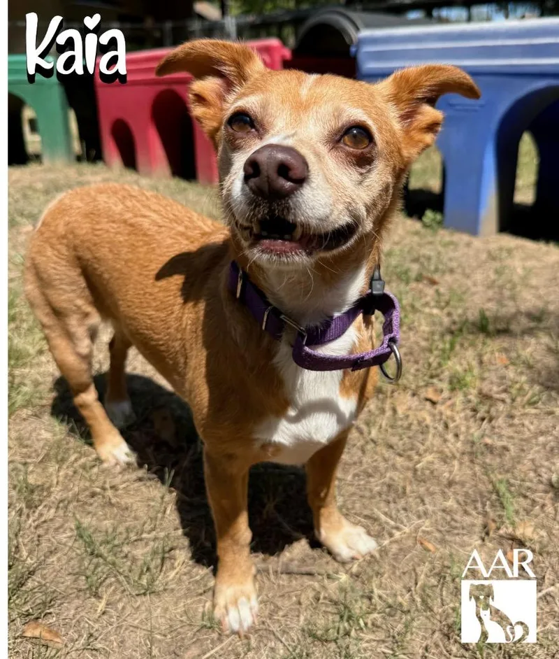 Kaia thumbnail 2