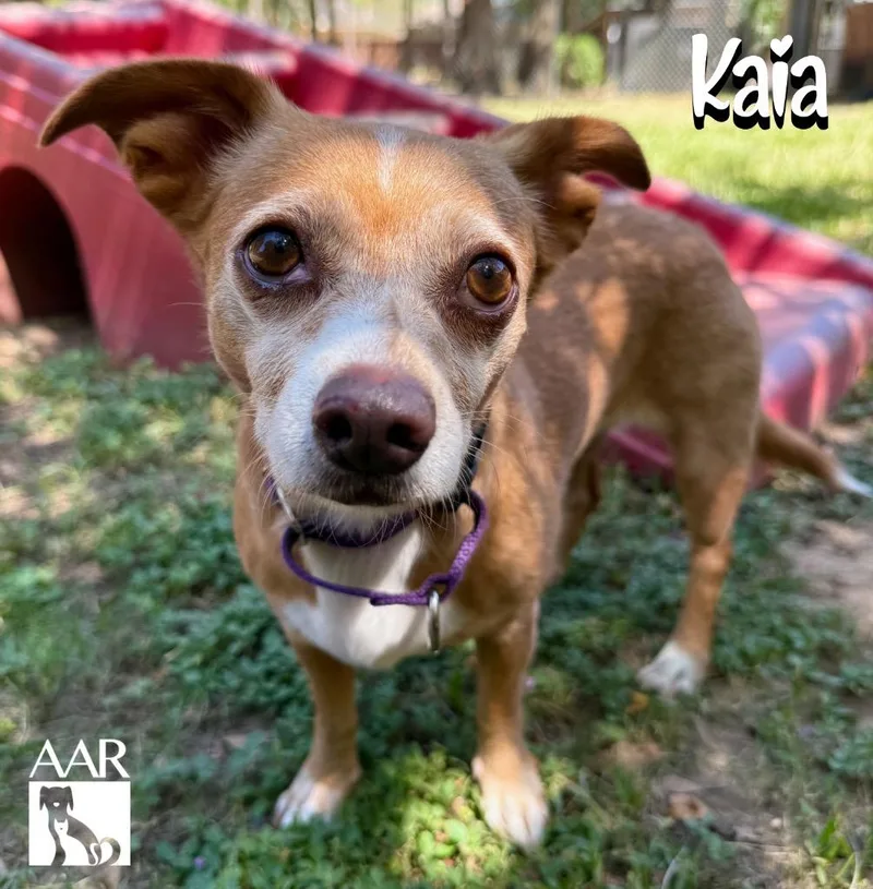 Kaia thumbnail 3