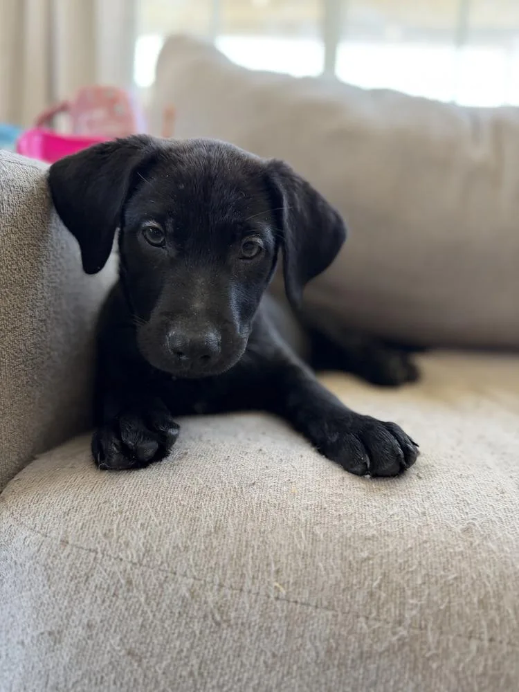 Floorvolume   Located thumbnail 2