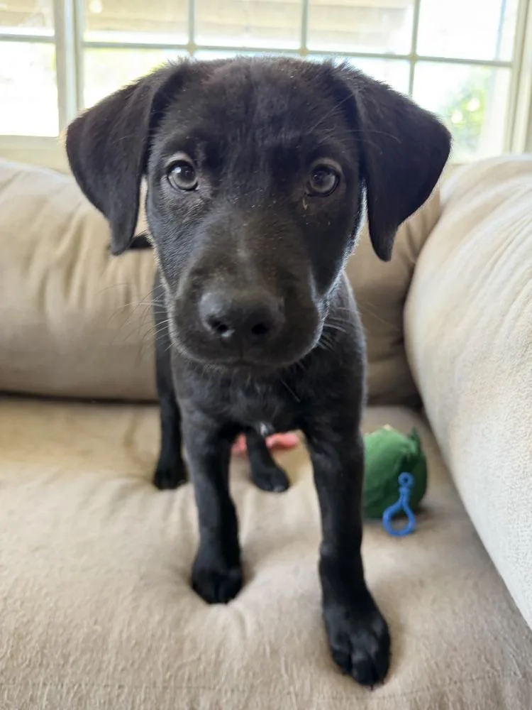 Floorvolume   Located thumbnail 3