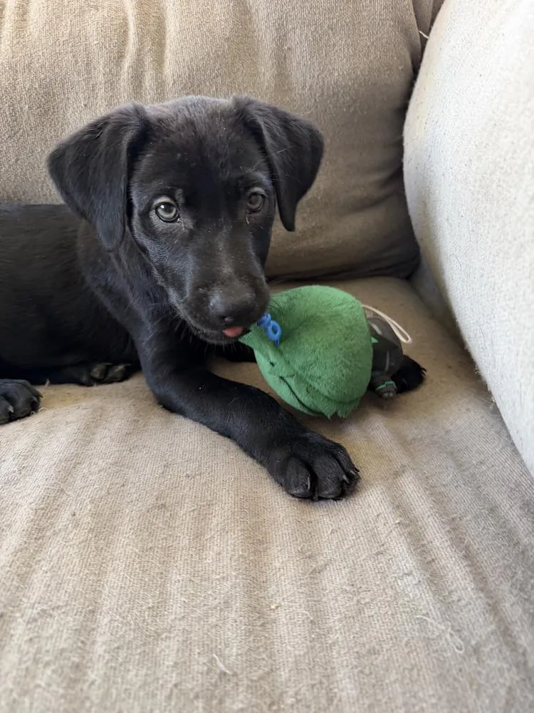 Floorvolume   Located thumbnail 4