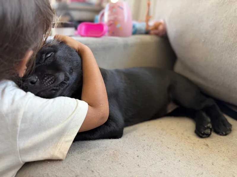 Floorvolume   Located thumbnail 5