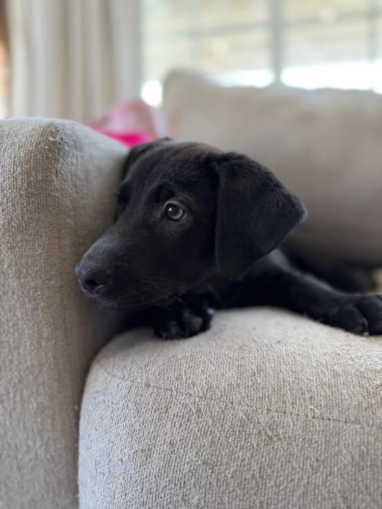 Floorvolume   Located thumbnail 6