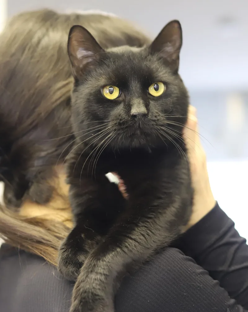 Smudge Is A Smoosh! thumbnail 3