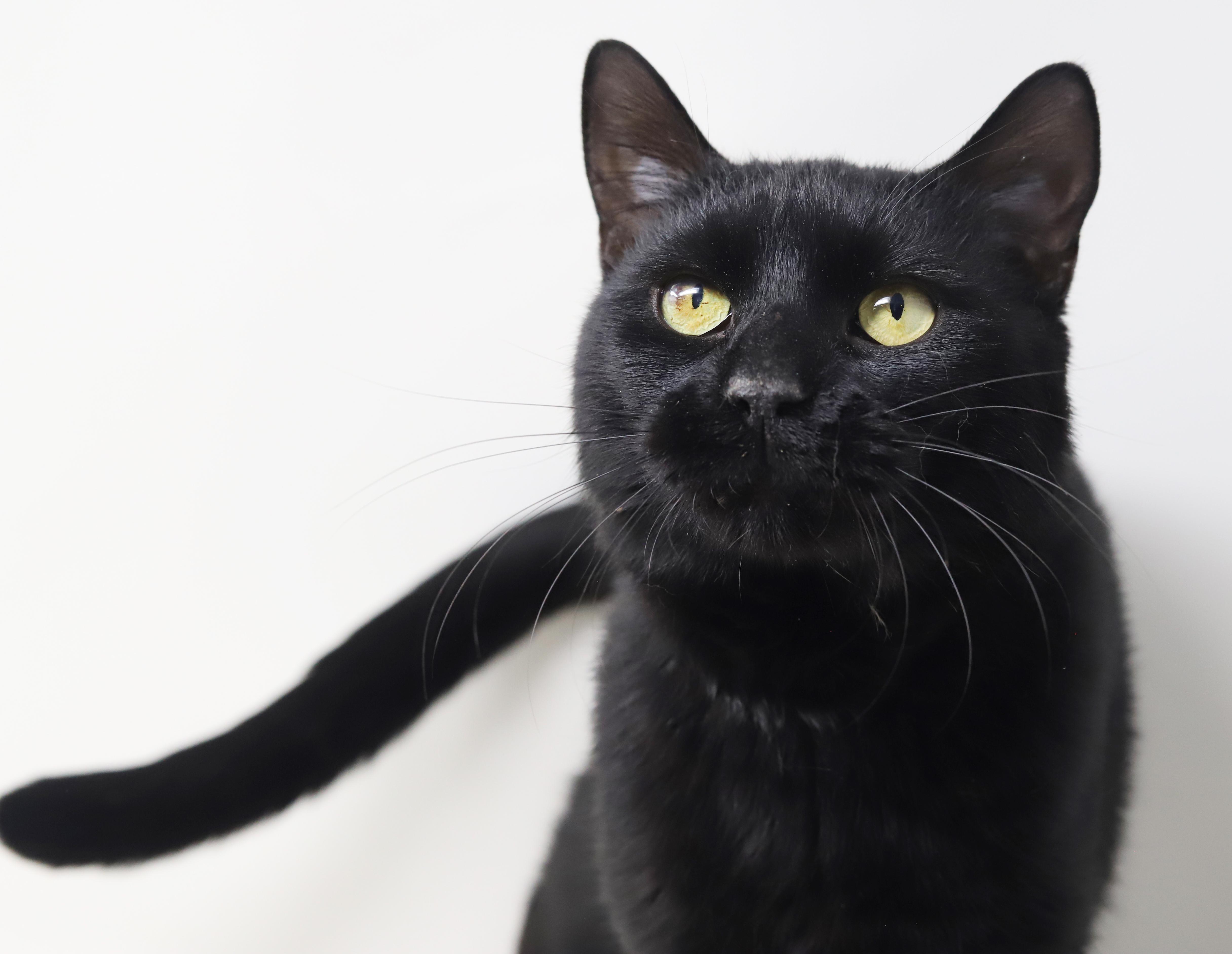 Smudge Is A Smoosh! thumbnail 4