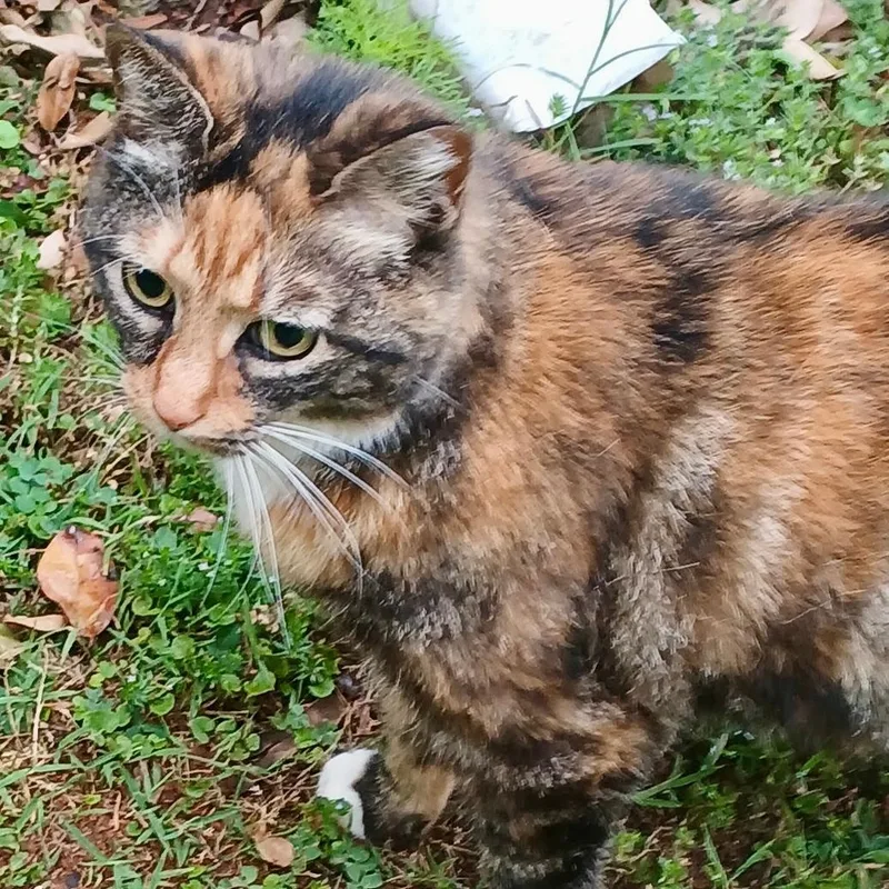 Kiera