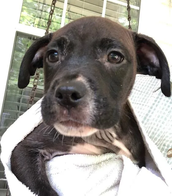 Winston  A thumbnail 4