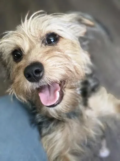 Baby