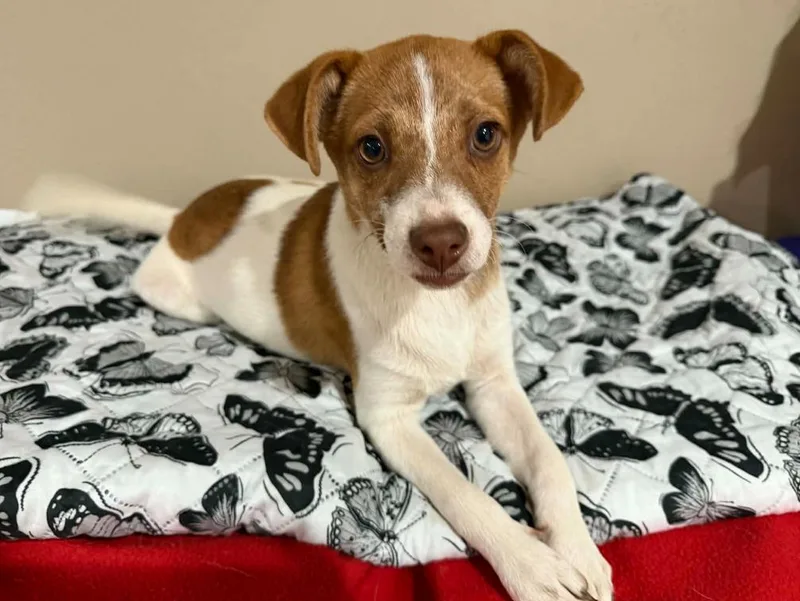 Jackie In Tx thumbnail 2