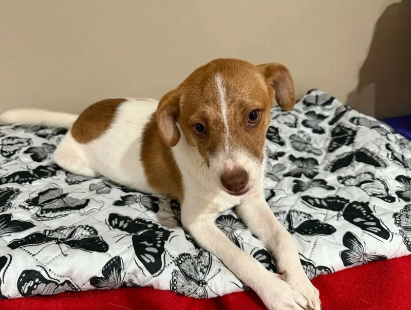 Jackie In Tx thumbnail 3