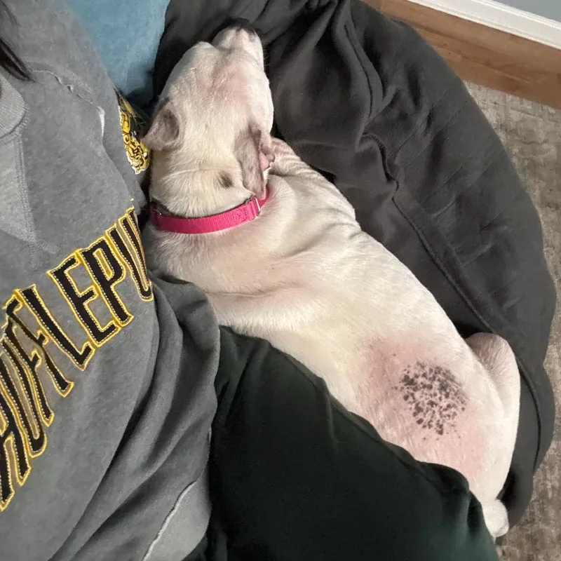 Lola thumbnail 5