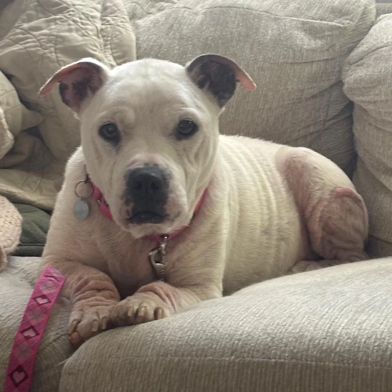 Lola thumbnail 6
