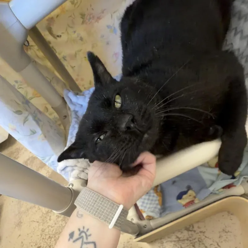 Blinx thumbnail 2