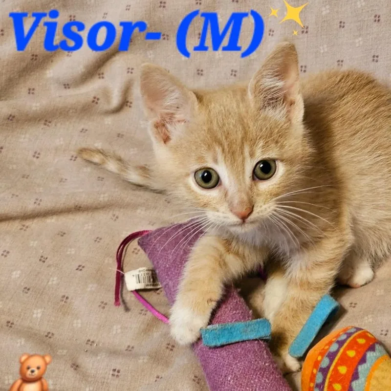 Visor thumbnail 3