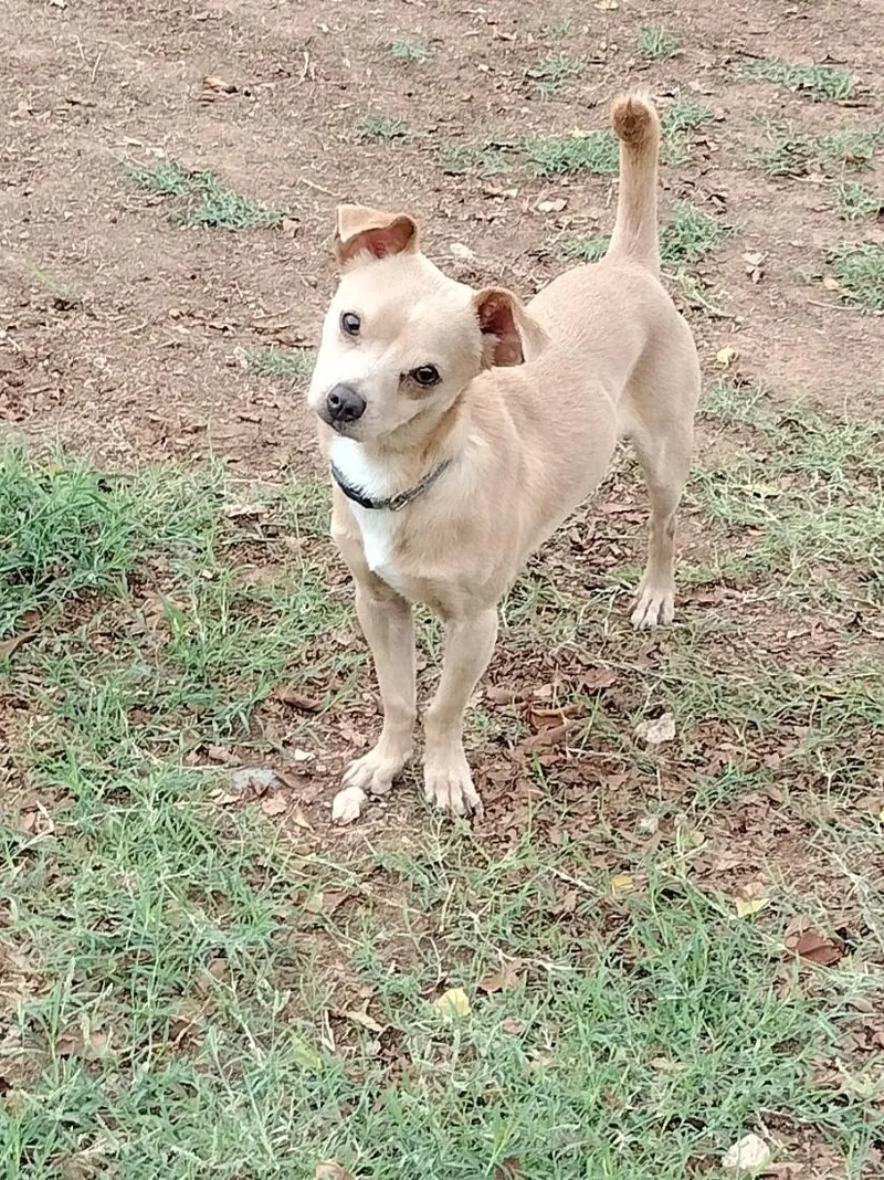 Little Man thumbnail 2