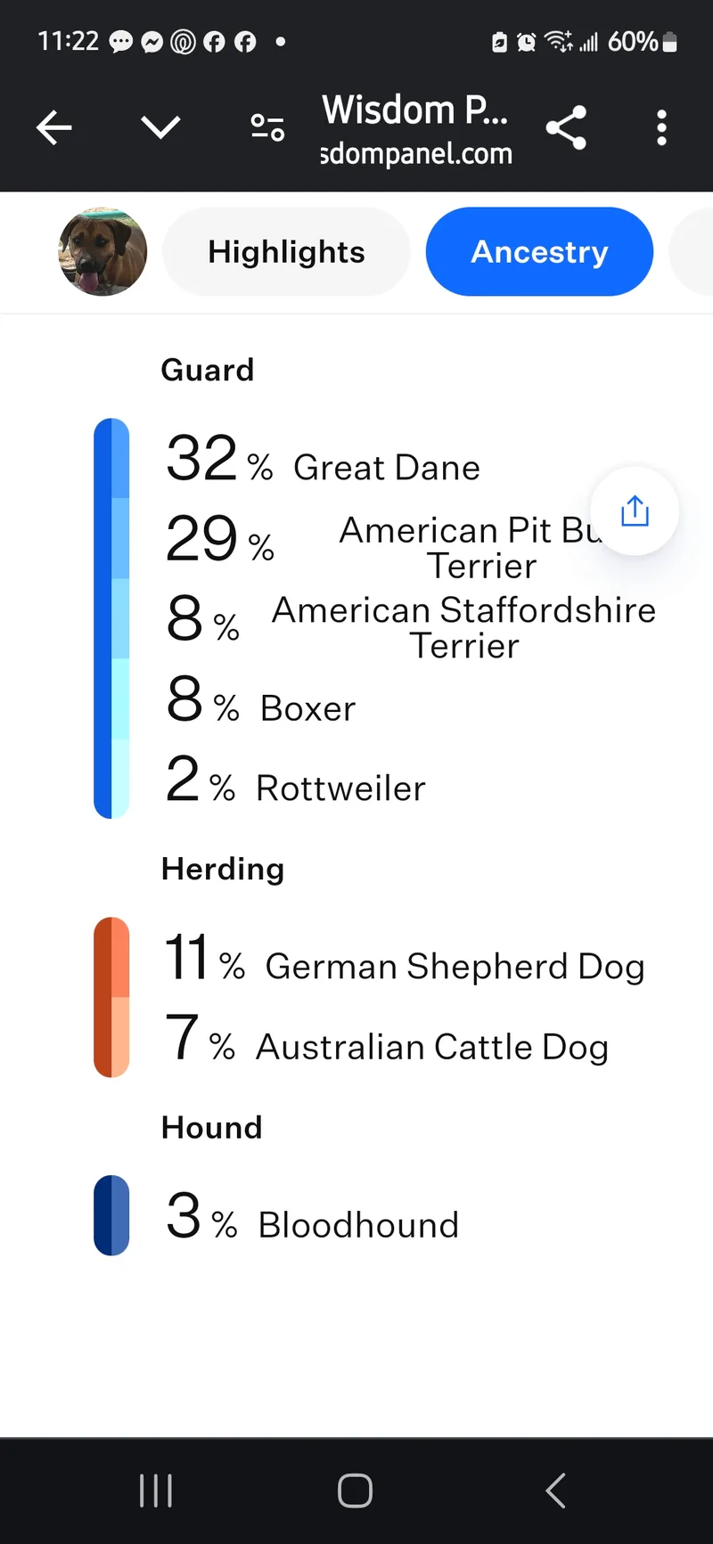 Maybelline thumbnail 2