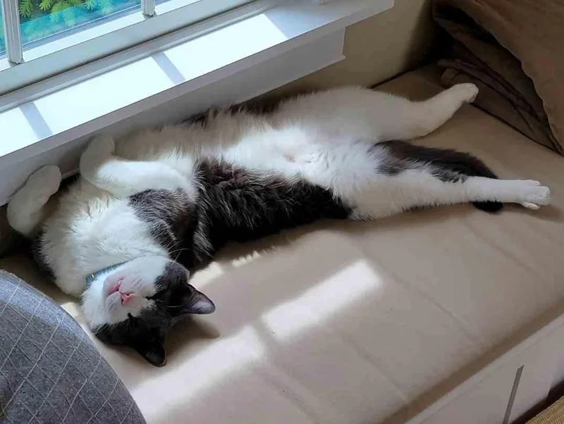 Miles   Years thumbnail 3