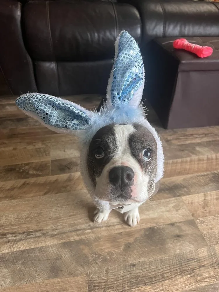 Bryce Andrews Ky thumbnail 2