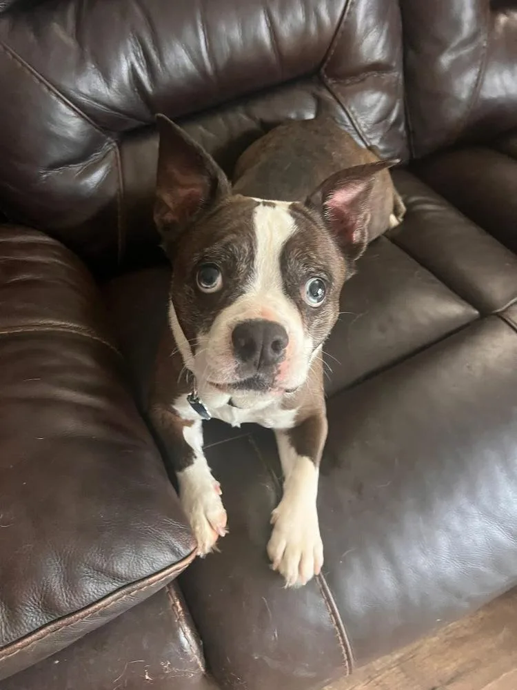 Bryce Andrews Ky thumbnail 5