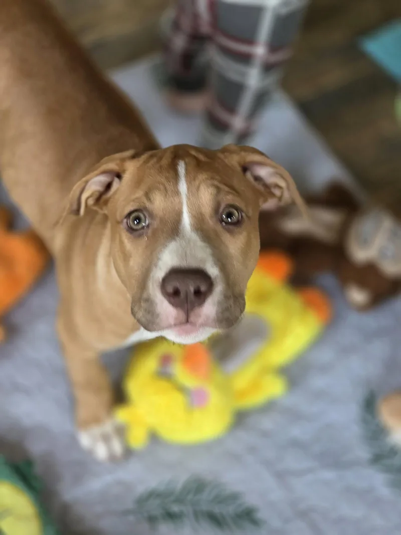 Nala thumbnail 3
